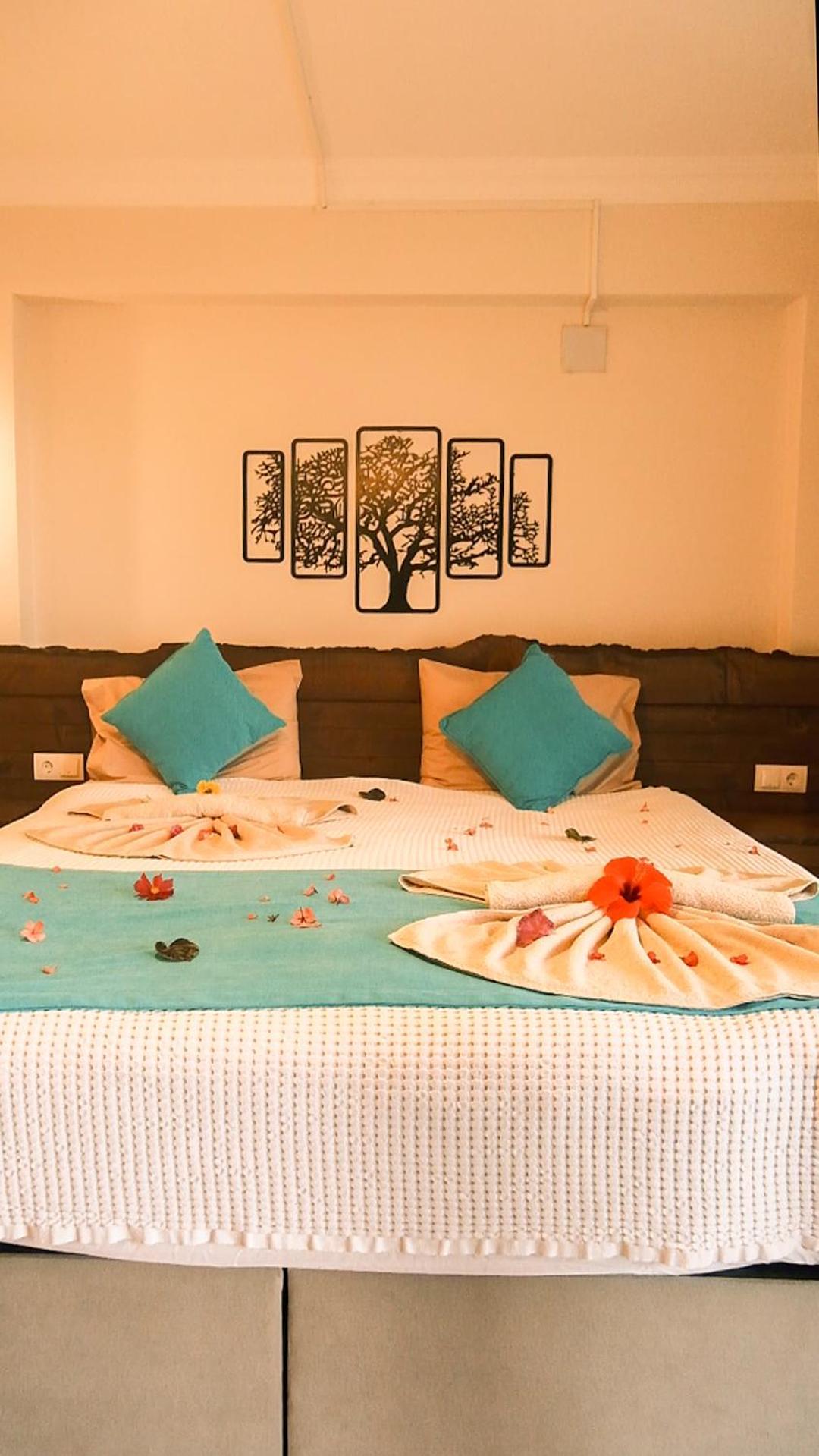 Kabak Misafir Evi Faralya